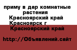 приму в дар комнатные растения - Красноярский край, Красноярск г.  »    . Красноярский край